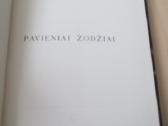 Jonas Mekas - Pavieniai žingsniai 1967 m. Čikaga - nuotraukos Nr. 4