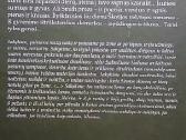 Romanas paaugliams „tarsi“ - nuotraukos Nr. 4