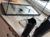 Tetra LED 54 l akvariumas – pilnas komplektas - nuotraukos Nr. 3