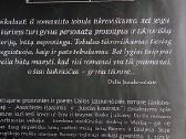 Dviejų mėnulių baras - nuotraukos Nr. 4