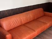 Odine sofa - nuotraukos Nr. 4