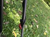Parduodu puikios bukles minelab equinox 800 - nuotraukos Nr. 15
