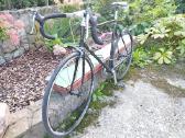Plento sportinis dviratis Bridgestone - nuotraukos Nr. 2