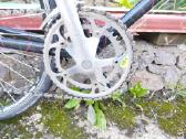 Plento sportinis dviratis Bridgestone - nuotraukos Nr. 5