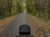 Bugaboo Fox 5 Renew vežimelis - nuotraukos Nr. 17