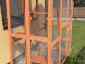 Catio - nuotraukos Nr. 2