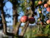 Parduodu fotoaparatą nikon D3200 - nuotraukos Nr. 10