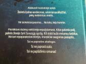Išgyvenę - nuotraukos Nr. 3