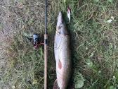 Daiwa Fuego rite 3000 - nuotraukos Nr. 2