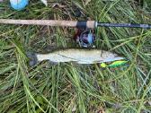 Daiwa Fuego rite 3000 - nuotraukos Nr. 3