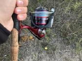 Daiwa Fuego rite 3000 - nuotraukos Nr. 17