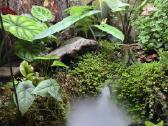 Rankų darbo terariumas/paludariumas/plantariumas - nuotraukos Nr. 2