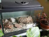 Parduodu 50l akvariumą. - nuotraukos Nr. 7