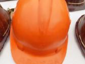 Sachtininku salmai - nuotraukos Nr. 2