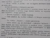 Mėnulių pilnatys virš linksmų stovyklaviečių - nuotraukos Nr. 4