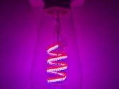 Išmanioji LED lemputė Moes E27 Vintage Rgb WiFi - nuotraukos Nr. 7