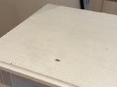 Ikea Spintelė 120x85 Balta - nuotraukos Nr. 3