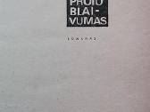 Proto blaivumas - nuotraukos Nr. 2