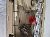 Narvas graužikui žiurkėnui Degu 783648 - nuotraukos Nr. 3