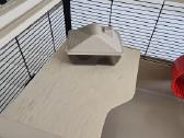 Narvas graužikui žiurkėnui Degu 783648 - nuotraukos Nr. 4