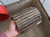 Narvas graužikui žiurkėnui Degu 783648 - nuotraukos Nr. 6