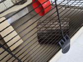 Narvas graužikui žiurkėnui Degu 783648 - nuotraukos Nr. 8