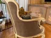 Klasikinė prabangi sofa su foteliu - nuotraukos Nr. 9