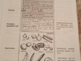 New Junior English Dictionary - nuotraukos Nr. 4