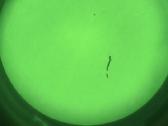 Nvg Pvs 14 omni 6 naktinio matymo įranga - nuotraukos Nr. 9