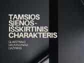 Vidaus Apdailos Darbai Merenna - nuotraukos Nr. 5