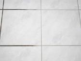 Plaunamo siurblio karcher nuoma Šiauliuose - nuotraukos Nr. 4