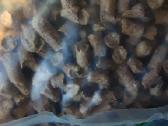 Medžio pjuvenų granulės - nuotraukos Nr. 6