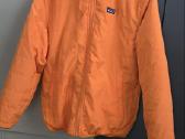 Patagonia teddy - nuotraukos Nr. 4