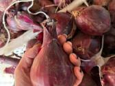 Parduodamas likutis – apie 90 kgkaina 1.80€/kg - nuotraukos Nr. 2