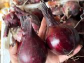 Parduodamas likutis – apie 90 kgkaina 1.80€/kg - nuotraukos Nr. 4