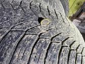 Padangos Nexen Winguard Sport 2 (245/50/r18) - nuotraukos Nr. 8