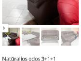 Odinei sofa ir foteliai Vokiečių gamybos - nuotraukos Nr. 4