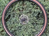 Carbon Zipp 101 XPLR Ratai - nuotraukos Nr. 3