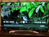 55" LG Oled Ultra HD - nuotraukos Nr. 9