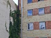 Kaminų ideklai ir kiti darbai - nuotraukos Nr. 13