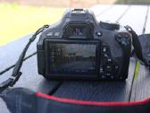 Canon EOS 600d + 18-55mm Tik 10 954 kadrai - nuotraukos Nr. 4