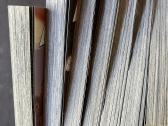 Manga komiksai Attack on Titan vol. 1-11 - nuotraukos Nr. 2