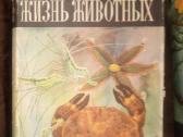 Enciklopedija "жизнь животных" (1968-1971) - nuotraukos Nr. 3