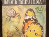 Enciklopedija "жизнь животных" (1968-1971) - nuotraukos Nr. 4