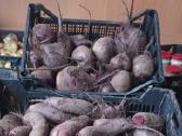 Kaimiškos bulvės ir kitos darzoves - nuotraukos Nr. 13