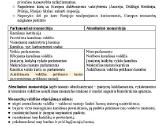 Istorijos konspektas, I Vbe dalis - nuotraukos Nr. 2