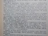 Lietuvių valgiai - nuotraukos Nr. 3