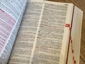 Macmillan English Dictionary for Advanced Learners - nuotraukos Nr. 8