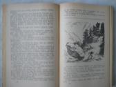 Selma Lagerlef - Stebuklingosios Nilso kelionės - nuotraukos Nr. 2