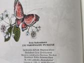 Zenė Sadauskaitė "Lyg varnėnai du po saule" - nuotraukos Nr. 9